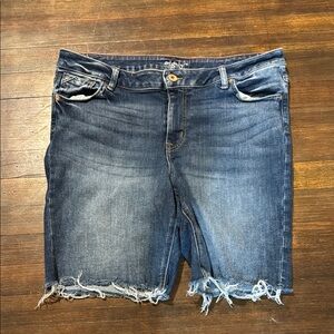 Distressed Blue Jean Shorts